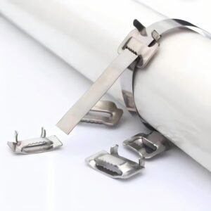 Stainless Steel Buckle